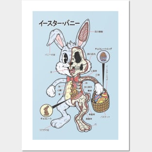 EASTER BUNNY ANATOMY Posters and Art